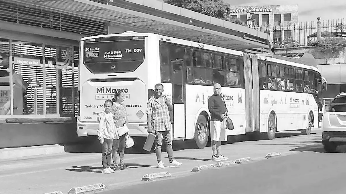 14 macrobus 1_BW